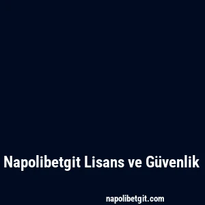 Napolibetgit Lisans ve Güvenlik